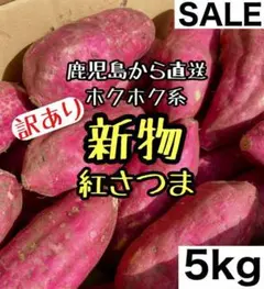 新物◎ミニ 紅さつま 5キロ さつまいも 5kg 紅あずま好きにも
