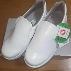 Item thumbnail for item e319c98b-b30e-41d8-b44c-5628d6468d59