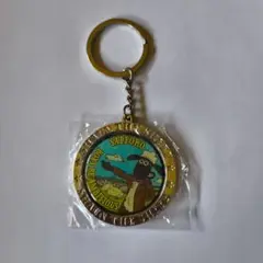北海道限定　ひつじのショーン　ご当地　メダルキーホルダー
