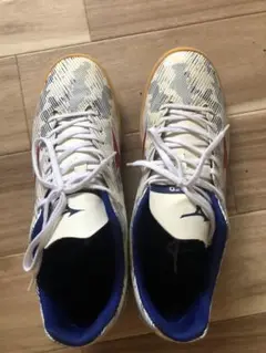 Mizuno Monarcidaフットサル　27.5cm