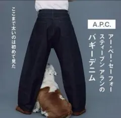A.P.C for Steven Alan JEAN 5P BAGGY PANT