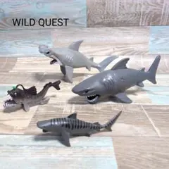WILD QUEST フィギュア ホホジロザメ シュモクザメ 4体セット