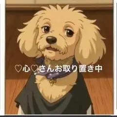 ♡心♡さんご専用