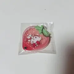 サンリオ ハローキティ アクリルケース いちご 新品未使用