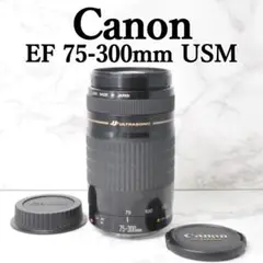 Item thumbnail for item 77b7ce1e-0b44-4b78-81f6-3168e86f6a74