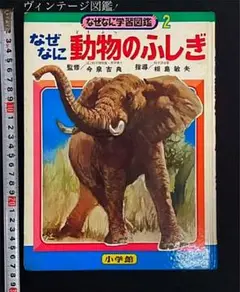なぜなに学習図鑑9 なぜなに　からだのふしぎ なぜなにからだのふしぎ -なぜなに学習図鑑9- 表紙画・石原豪人