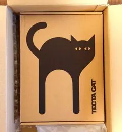 AED cat★TECTAガラス板 m64274612448_1.jpg?1727347017