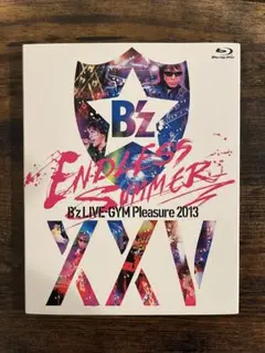 【送料無料❗️匿名発送❗️】 B'z ENDLESS SUMMER ブルーレイ