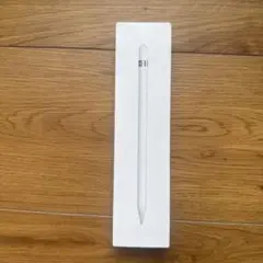 第一世代Apple Pencil ホワイト 充電アダプター付き