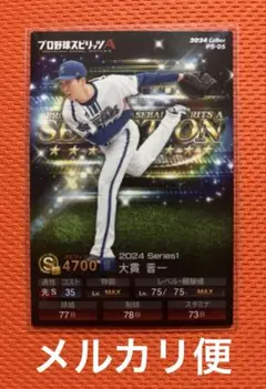 カルビー　プロ野球スピリッツポテトチップス　PS-05 大貫晋一選手