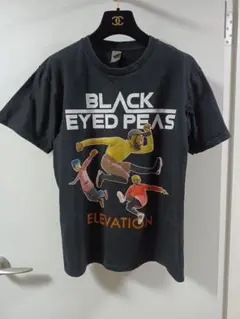 Item thumbnail for item 2d0a4c04-c08b-4114-8506-83377afcc232