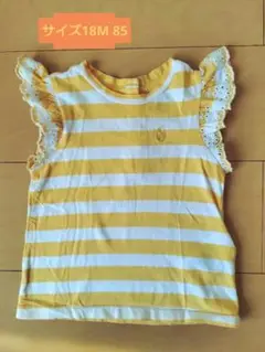 Item thumbnail for item 692490b8-8de9-4cc2-ac21-116e09de4cff