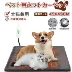 Item thumbnail for item a0d550a0-6eb2-4028-83a3-c8d399fc4592