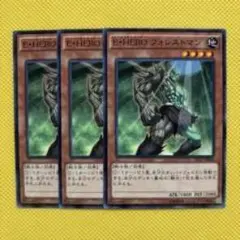 E・HERO フォレストマン 3枚セット