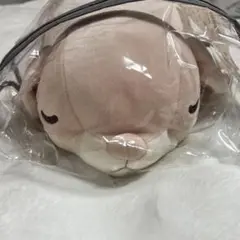 フランスベッド クールデオド【ロップちゃん(M)】