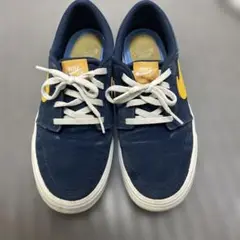 Nike スケートシューズ ネイビー/イエロー