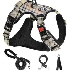Item thumbnail for item cef9c55e-6979-4960-8dda-6c3f5213bce1
