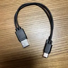 USB to Type-C andライトニング充電ケーブル 20cm