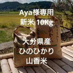 2025年最新】ひのひかり 大分の人気アイテム - メルカリ