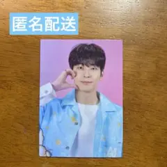 SEVENTEEN トレカ ウォヌLOVE