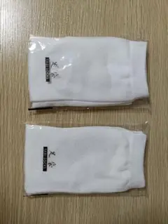 Item thumbnail for item ed761766-0d70-490f-bac4-b3629a877f4f