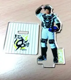 阪神タイガース 梅野選手 アクスタ美品