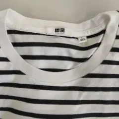 未使用級爽やかな白/紺ストライプ コットンTシャツ L　送料込み