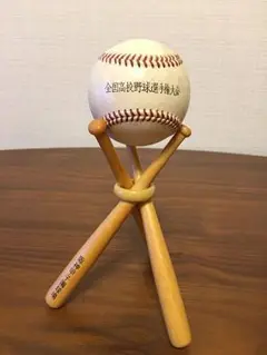 第96回夏の甲子園準決勝ファールボール 始球式のボール投下、風でやり直し 「もう一回」コール 夏の