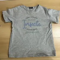 インセクトデザイン Tシャツ グレー