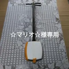 三味線 五厘大 破れなし 2025年最新】三味線 五厘大の人気アイテム - メルカリ