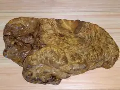 黄金樟　瘤　花台 敷台 敷板 飾り台 横約38cm　縦25cm 厚約2.2cm