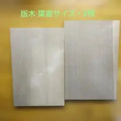 Item thumbnail for item 8b8b0554-3d05-4ce0-9d50-afa69612ca55