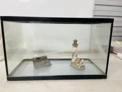 ★NISSO★ガラス水槽