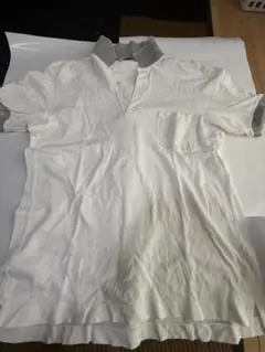 ホワイト ポロシャツ グレー襟
