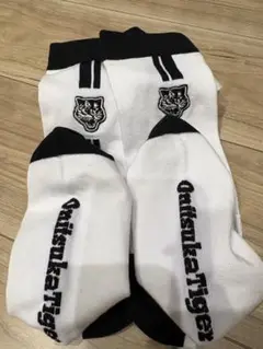 Item thumbnail for item 9326232d-4d55-4e47-8140-e636abb6003d