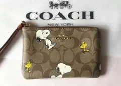 Item thumbnail for item 1b750fba-64ee-44d9-a271-06d681aa8162