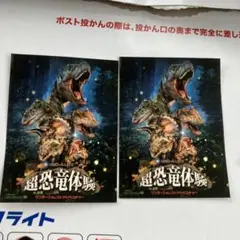 超恐竜体験　ワンダーフォレストアドベンチャー　　　ステッカー