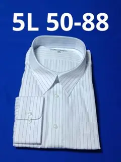 Item thumbnail for item 0806bb73-e823-4680-8550-8380e5b07f74