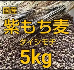もち麦5kg ③ 紫もち麦 ダイシモチ 食べやすく精麦済