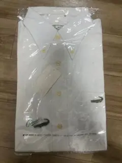 Item thumbnail for item 7fd30878-54aa-49bd-87a8-237daff23750