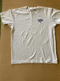 RunBird ホワイト Tシャツ LL