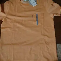 クロコダイル　crocodile　Tシャツ