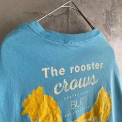 00's フルーツオブザルーム 古着 企業系 Tシャツ 半袖 両面プリント L