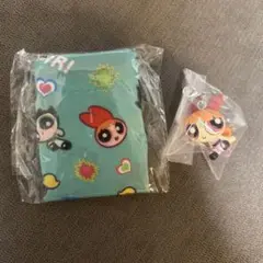 パワーパフガールズ　めじるしアクセサリー2 ブロッサムポーチアソートコレクション