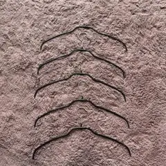 マワ(MAWA)ハンガー 5本セット