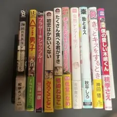 BL漫画 10冊まとめてセット