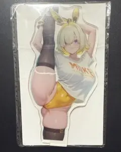 未開封新品 ニケ エレグ アクスタ