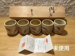 Item thumbnail for item 6c2acb1d-0623-4a82-a957-d6b334931c4b