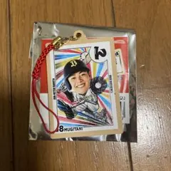 常熱かるたキーホルダー 麦谷祐介