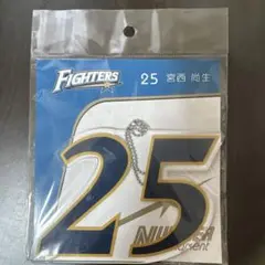 Fighters 宮西尚生 背番号25オーナメント